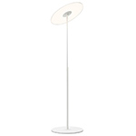 circa led floor lamp