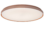 clara wall/ceiling lamp