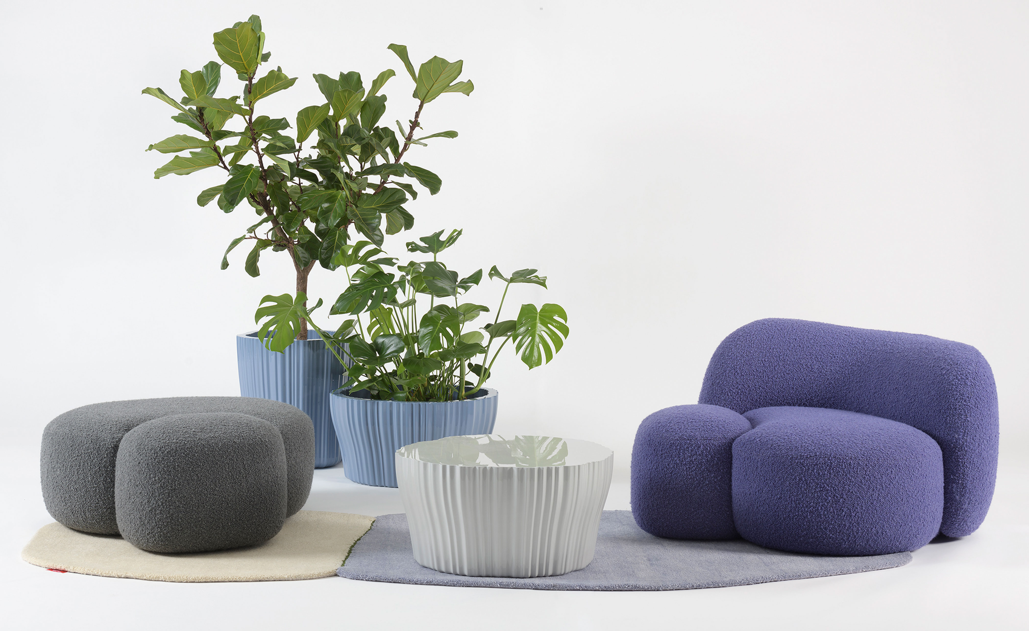 Corteza Coffee Table
