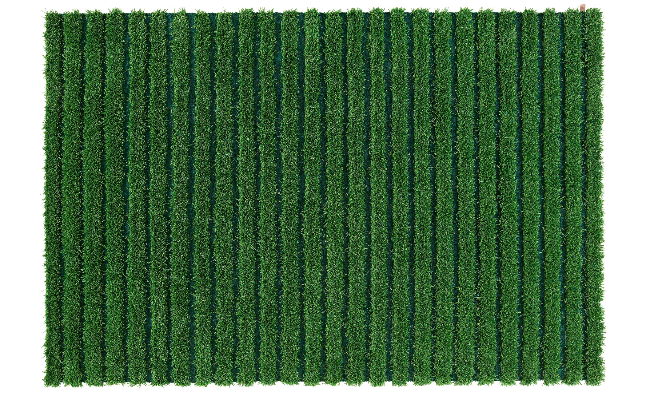 Ines Tufted Rug