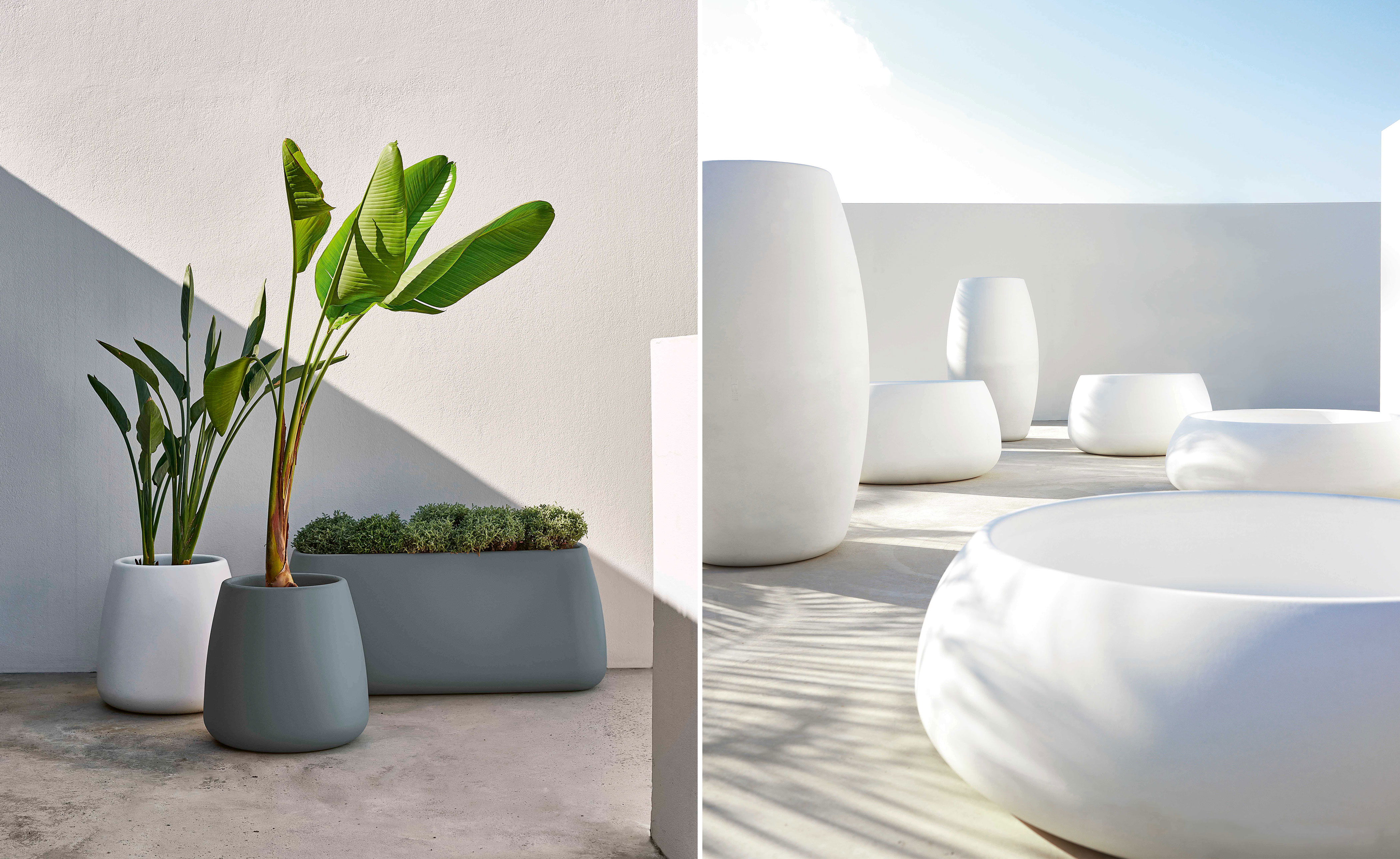 Sahara Planter 2